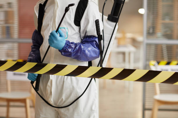 Professional Sewage Cleanup technician working in Sulphur Springs, TX